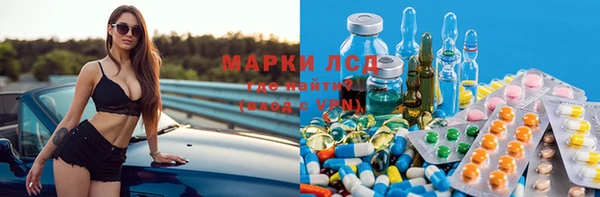 ешки Бородино