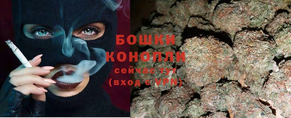 ешки Бородино