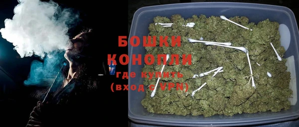 ешки Бородино